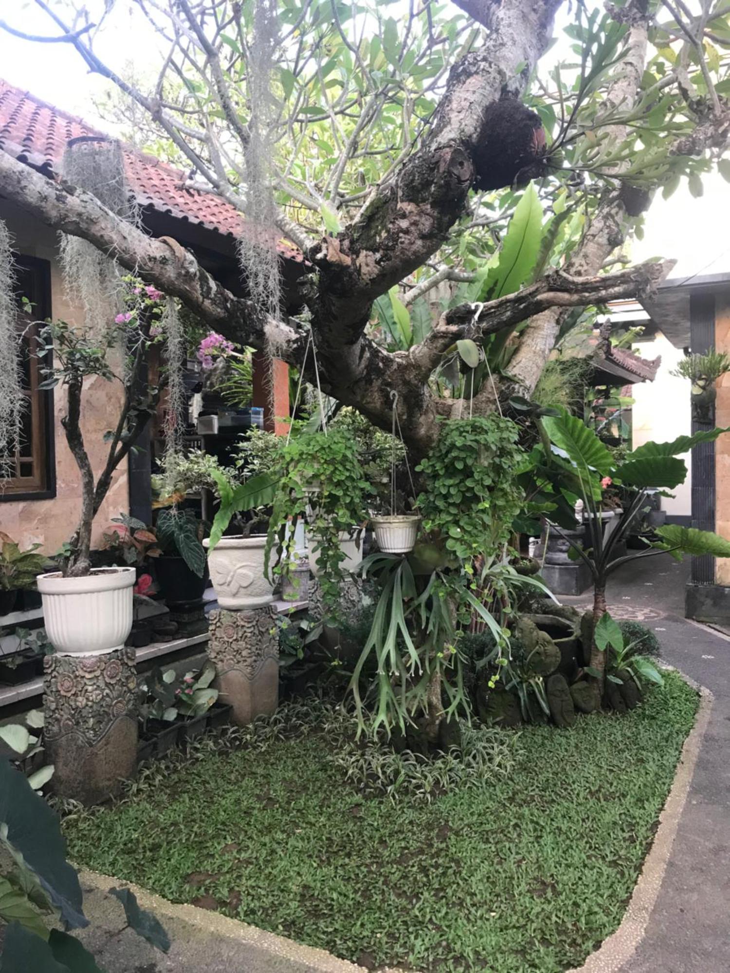 Gus Arditya Homestay Убуд Экстерьер фото