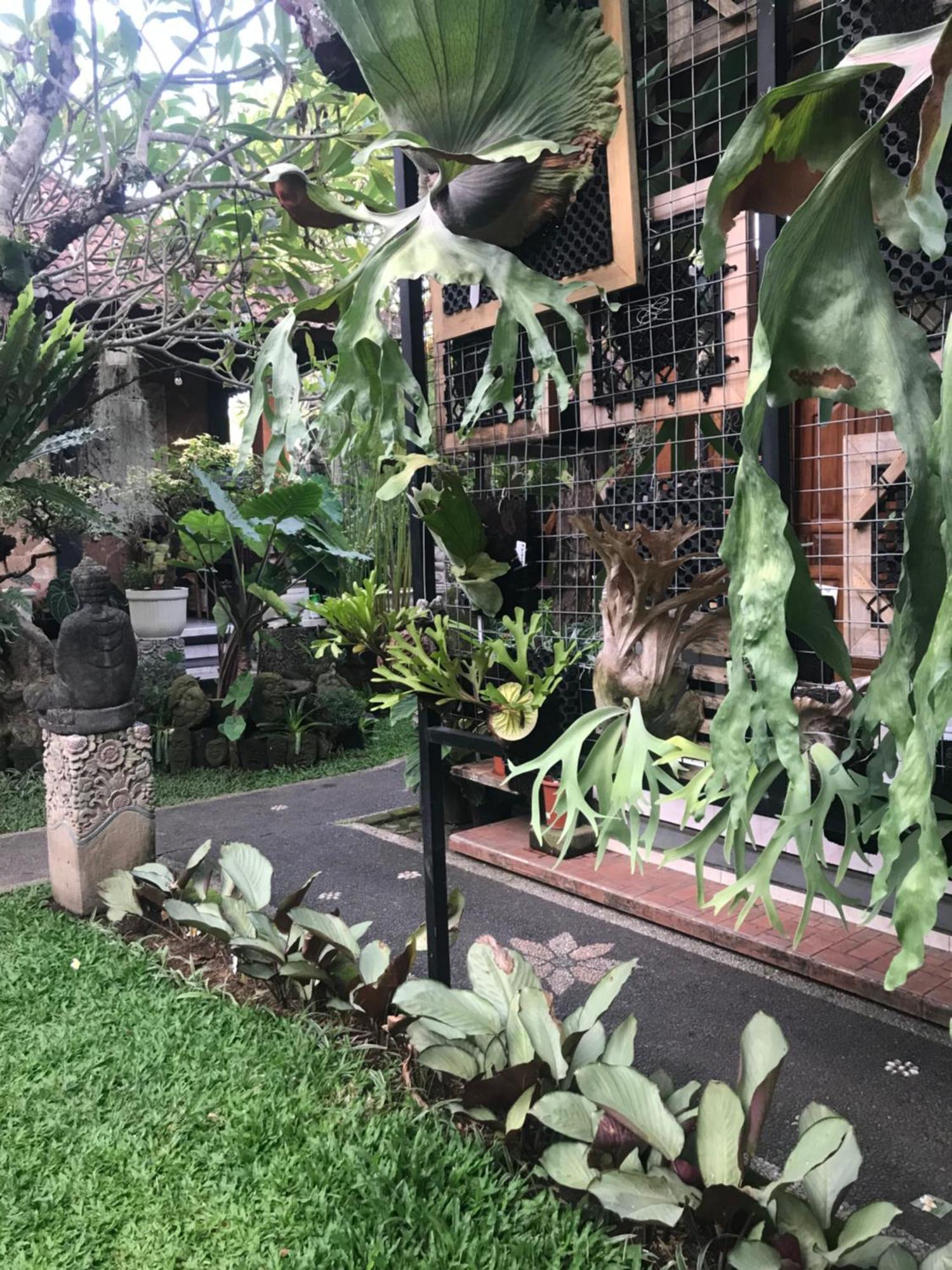 Gus Arditya Homestay Убуд Экстерьер фото