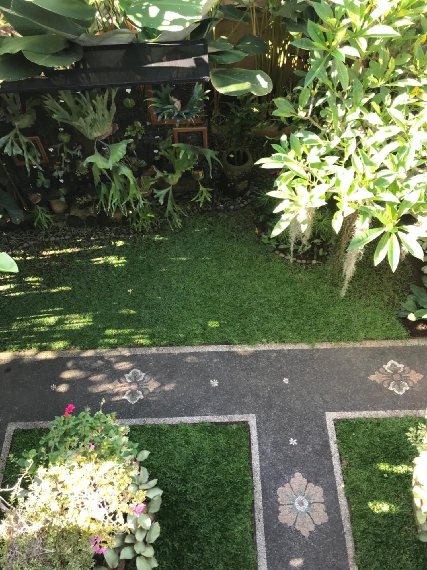 Gus Arditya Homestay Убуд Экстерьер фото