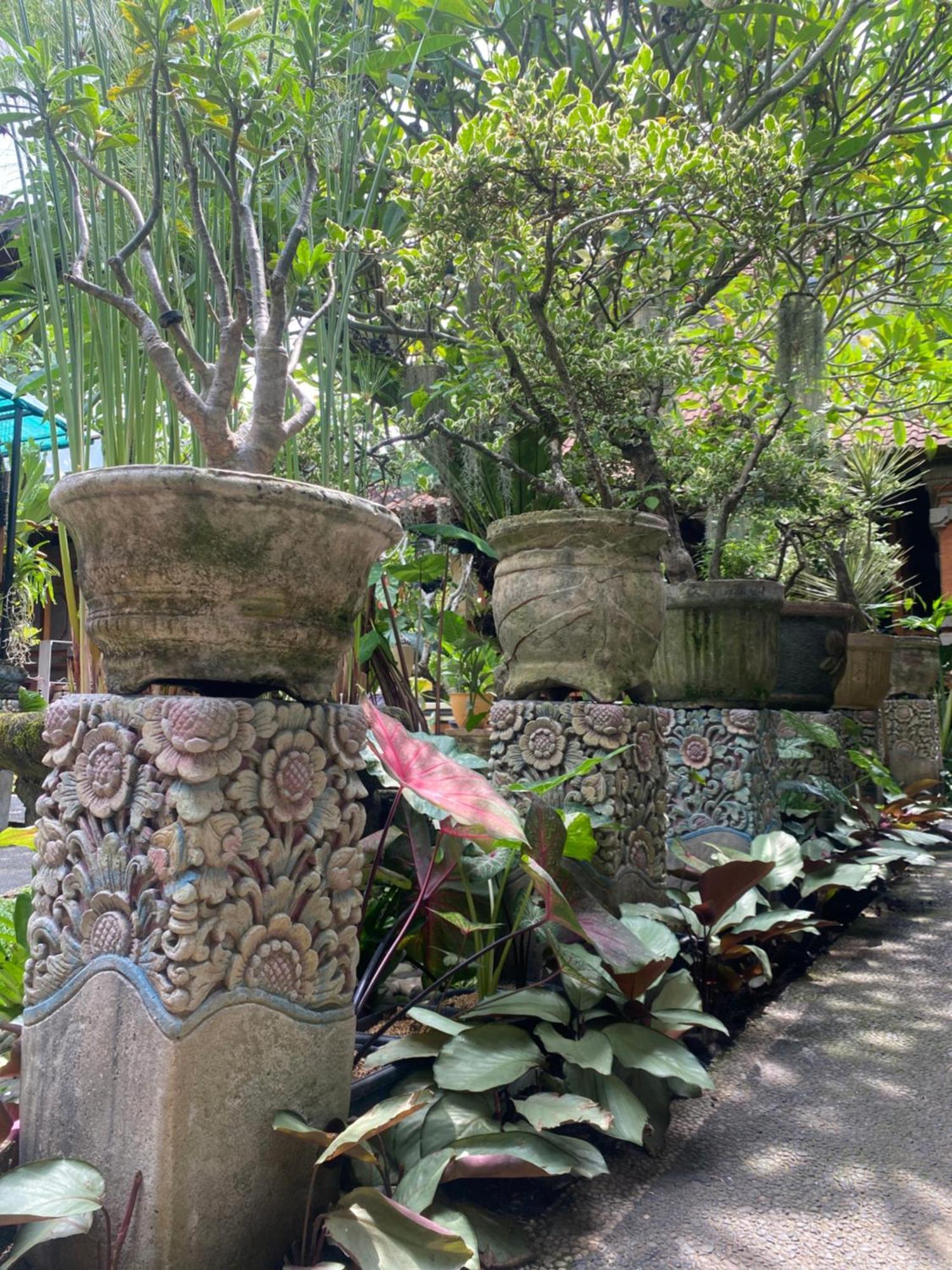 Gus Arditya Homestay Убуд Экстерьер фото