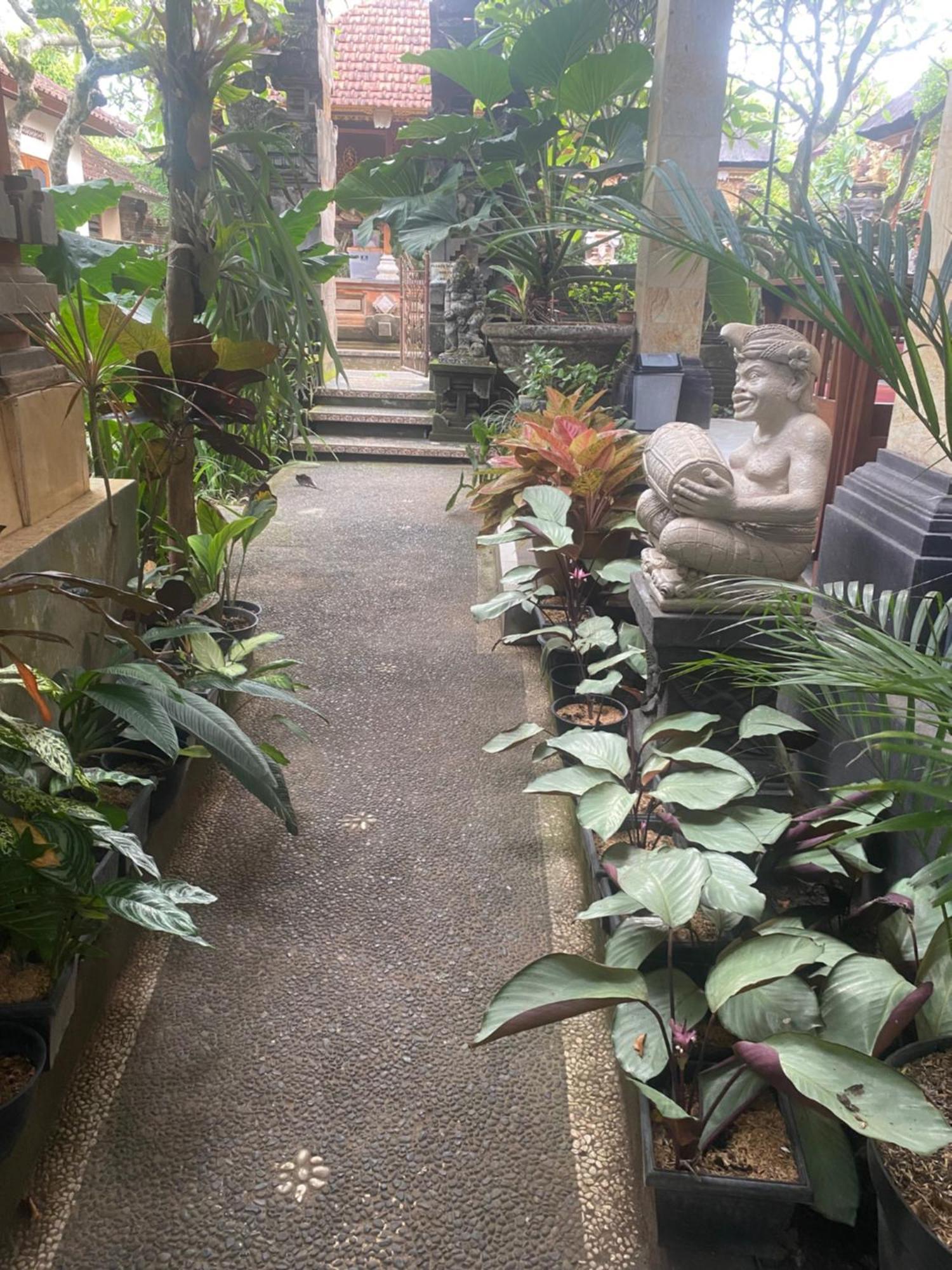Gus Arditya Homestay Убуд Экстерьер фото