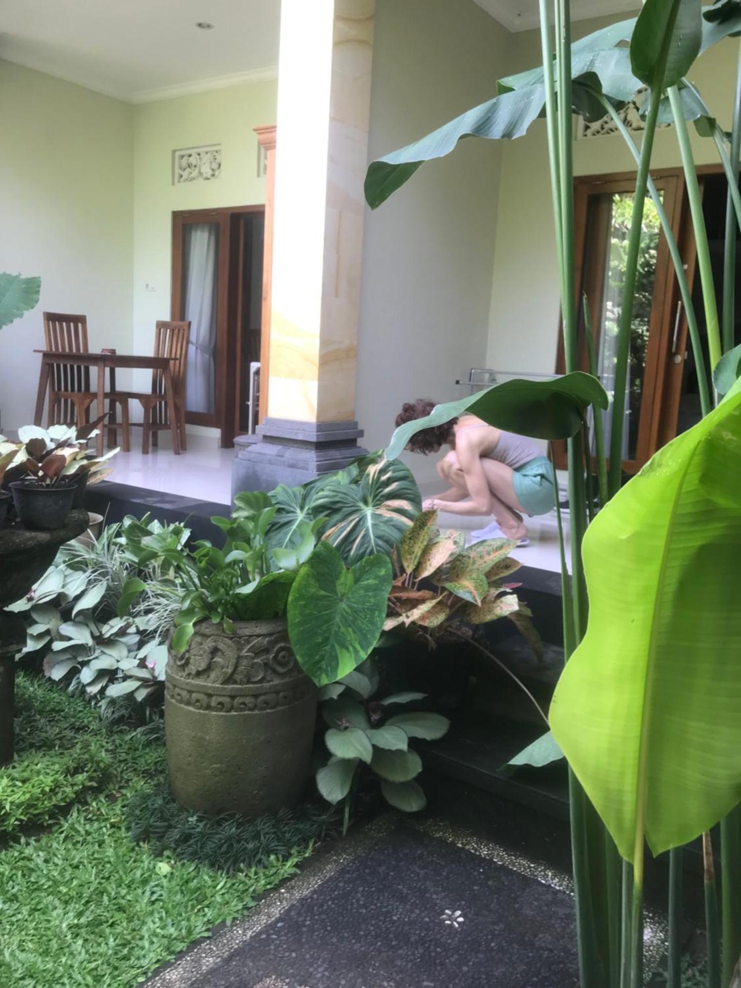 Gus Arditya Homestay Убуд Экстерьер фото